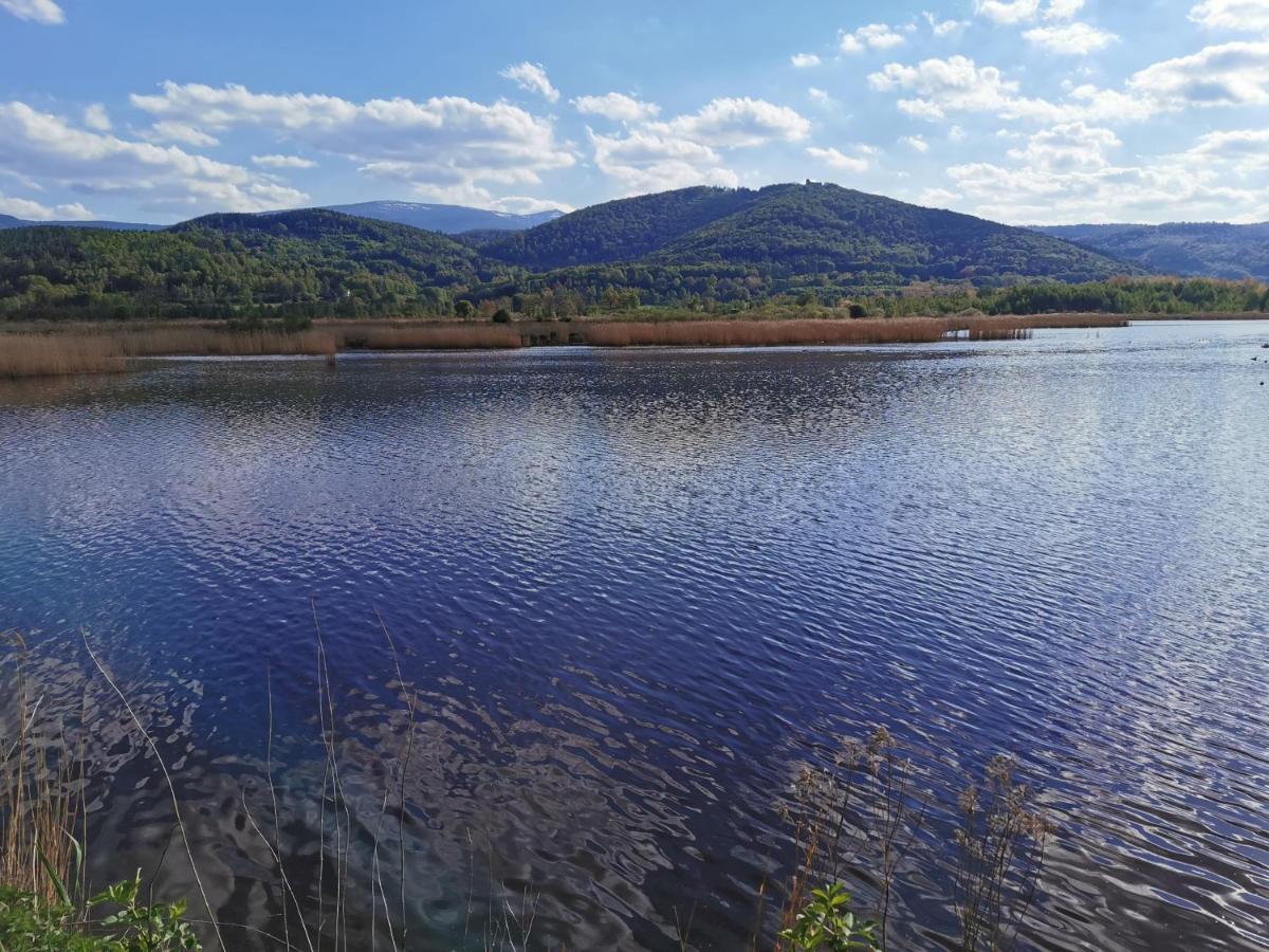 Bukowy