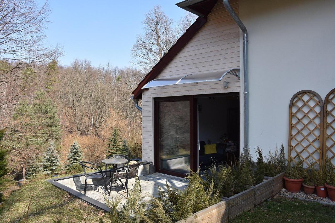 Bukowy Apartment *
